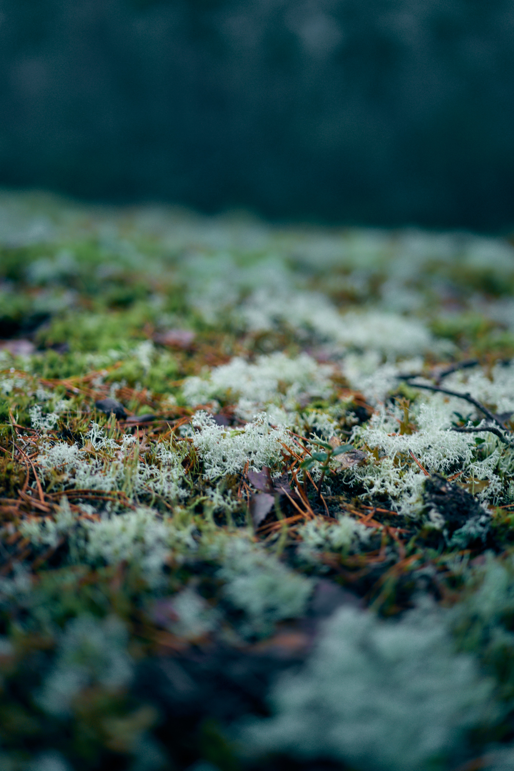 Nature